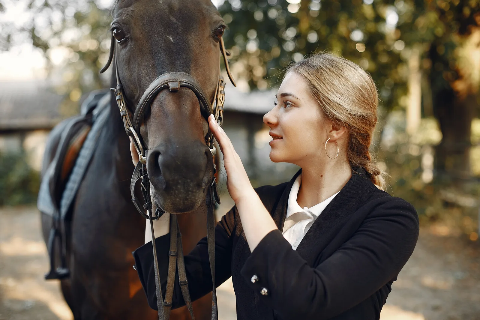 Activité équi-coaching au Domaine de l'Ardoise - team building au contact du cheval