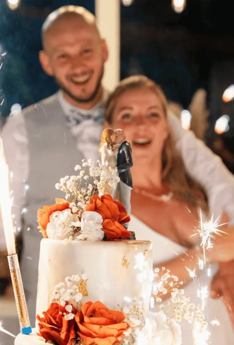 Mariés au Domaine de l'Ardoise devant leur wedding cake - mariage d'exception en manoir